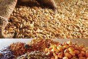 قیمت انواع نهاده های دامی و محصولات کشاورزی در ۸ خرداد ۱۳۹۹