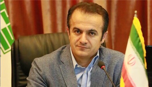 رصد شرکت‌های صوری برای جلوگیری از فرار مالیاتی