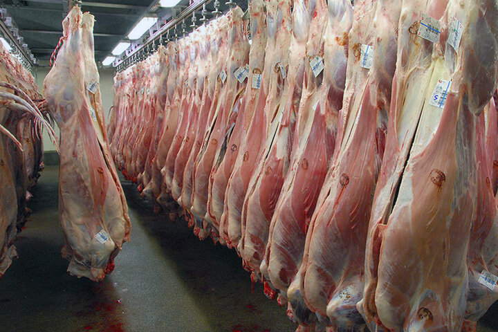 جزئیات جدید از سرنوشت ۳۲۰ تن گوشت وارداتی| محموله به خوراک ماهی‌ها تبدیل می شود