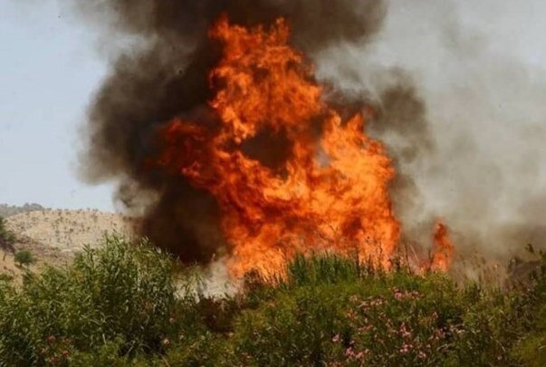 ۴کانون بحرانی در منابع طبیعی استان مرکزی وجود دارد؛ نابودی ۲۸۰۰ هکتار مرتع در آتش