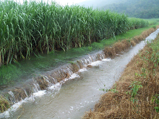 اتلاف سالانه ۳۰ درصد از تولیدات کشاورزی و مصرف آب