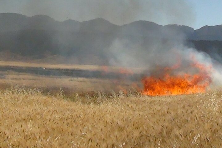 خسارت آتش سوزی به مزارع و مراتع شهرستان دهلران