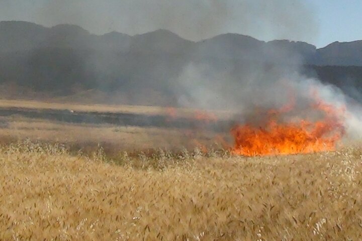خسارت آتش سوزی به مزارع و مراتع شهرستان دهلران خسارت آتش سوزی به مزارع و مراتع شهرستان دهلران