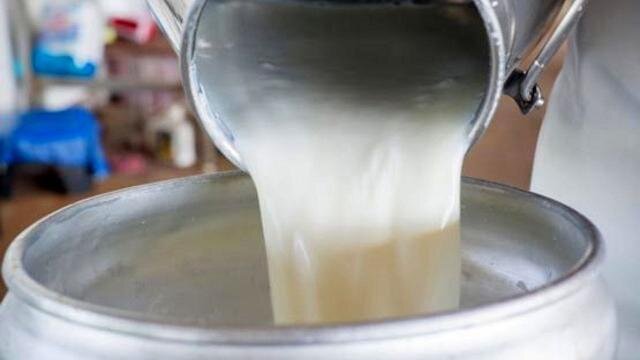 افت تولید در صورت اصلاح نشدن قیمت مصوب شیرخام