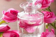 نخستین کارخانه فرآوری گل محمدی در لرستان به بهره‌برداری می‌رسد