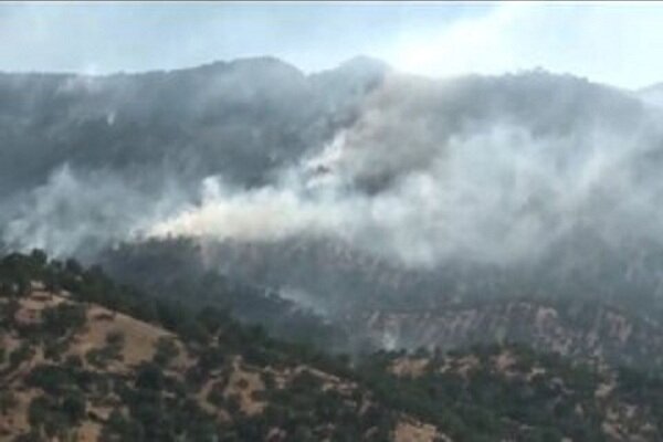 آتش‌سوزی کوه بهار گرمه ۵۳ میلیارد ریال به عرصه‌های منابع طبیعی خسارت زد