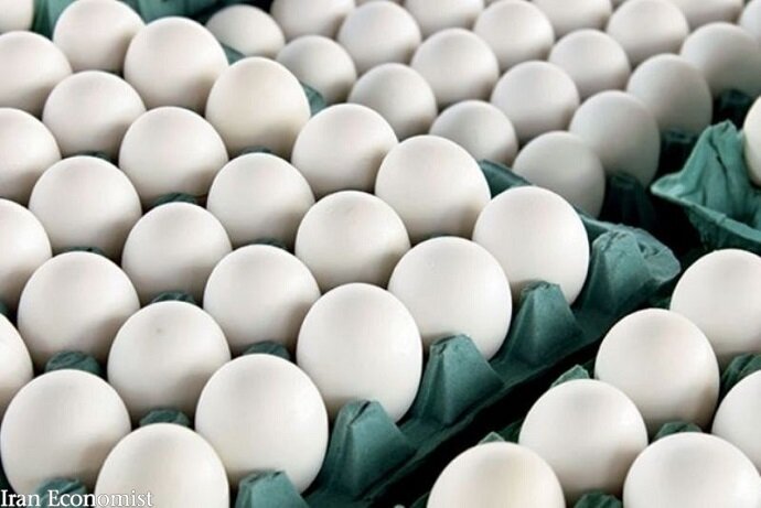 متوقف کردن صادرات تخم مرغ تا زمان متعادل شدن قیمت