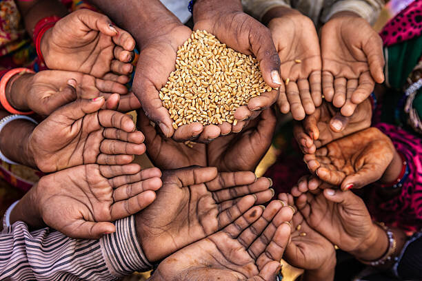 هشدار ۳ نهاد بین المللی درباره تحریم ها و اختلال در امنیت غذایی