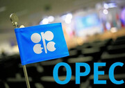قیمت سبد نفتی اوپک به زیر ۴۳ دلار بازگشت