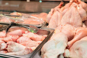 قیمت انواع مرغ در ۲۰ آبان ۱۳۹۹