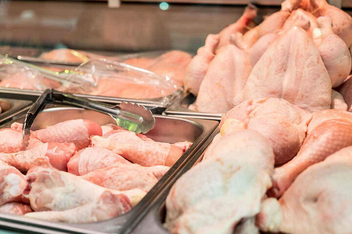 قیمت انواع مرغ در ۲۶ شهریور ۱۳۹۹