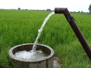 دولت در حوزه آب خوب عمل نکرده است| توسعه کشت محصولات کم آب‌بَر مهجور از نگاه وزارت جهاد کشاورزی