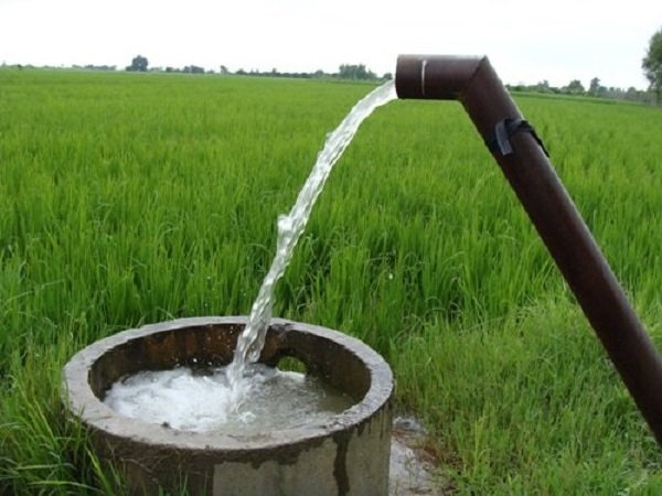 کشاورزی احیاکننده و مدیریت آب؛ روندهای کلیدی کشاورزی جهان در ۲۰۲۳