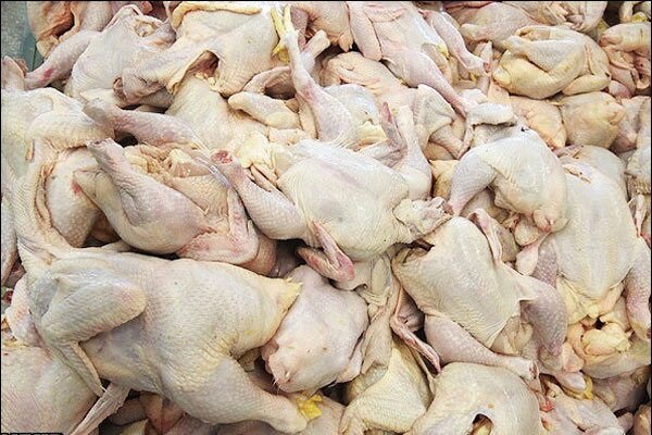 زنجان یکی از استان‌های صادرکننده گوشت مرغ در کشور است