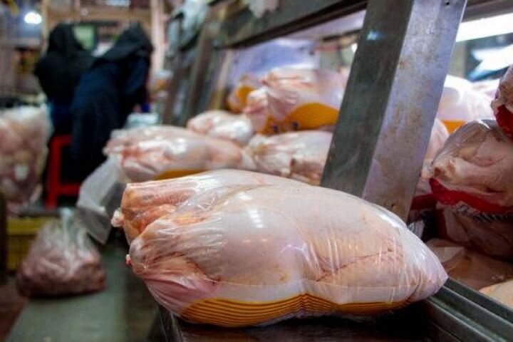 روزانه ۶۰ تن گوشت مرغ در قم توزیع می‌شود