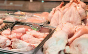قیمت مرغ در استان بوشهر به نرخ مصوب می‌رسد