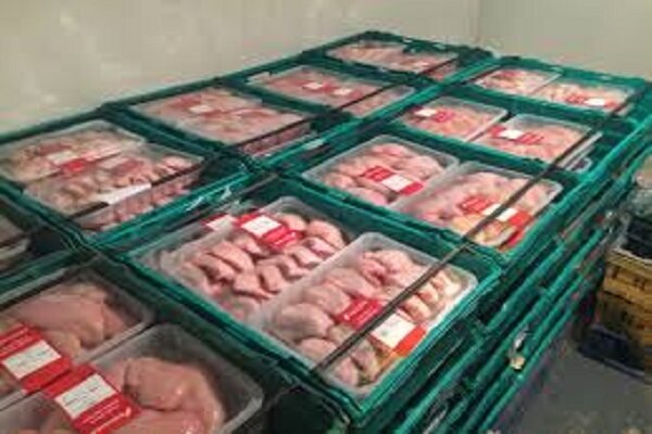 ۵۵۰ تن مرغ منجمد تنظیم بازار در سیستان و بلوچستان توزیع می‌شود