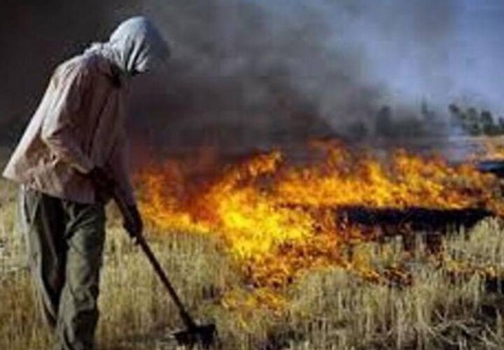 آتش در کمین جنگل ها و مراتع استان همدان