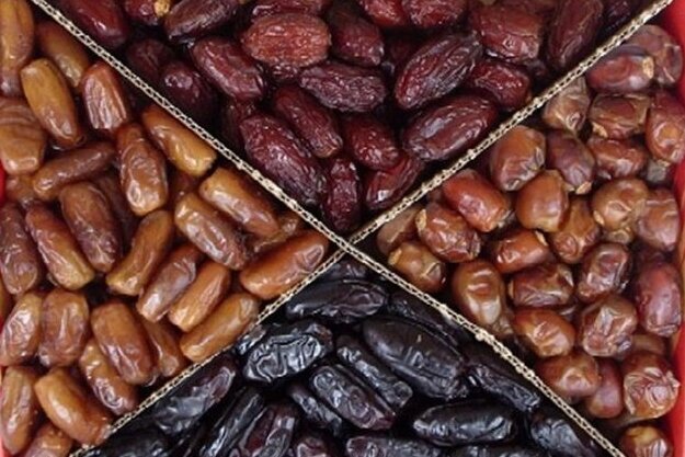 خامفروشی آفت خرمای بوشهر؛ لزوم تکمیل زنجیره ارزش