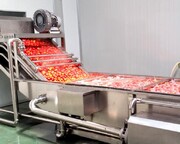 ۴۰درصد رب گوجه تولیدی کشور صادر می شود| آسیا؛ صدر نشین تولید