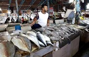 نوسانات ارزی و صادرات، ماهی را گران کرد/ رشد ۳۰ درصدی قیمت ها