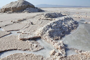 شناسایی ۳۸ ماده ارزشمند در دریاچه نمک قم/ کمبود کالای اساسی نداریم