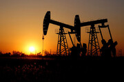 نفت شیل در نوامبر کاهش پیدا کرد