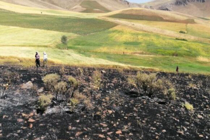 مراتع قوچان در آتش غفلت می‌سوزد؛ توسعه پایدار در گرو حمایت از منابع طبیعی 