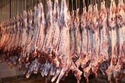 قیمت گوشت قرمز به ۱۷۰ هزار تومان رسید| نگرانی اتحادیه قصابان خراسان شمالی