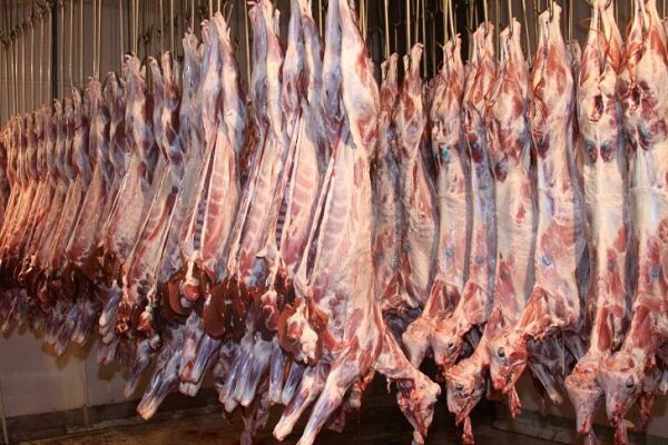 تولید سالانه ۶ هزار و ۶۰۰ تن گوشت قرمز در کرمانشاه
