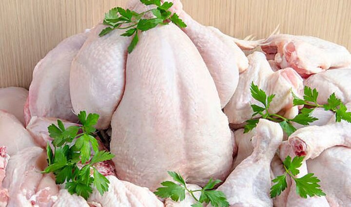 افزایش قیمت مرغ ناشی از افزایش قیمت مولفه‌های تولید است