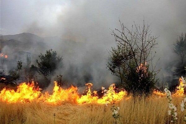 ۳۰ هکتار از مراتع اراضی شهرستان ماهنشان دچار آتش سوزی شد