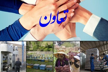 تعاونی‌ها زمینه ۵۱ هزار فرصت شغلی را در زنجان فراهم کردند