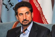 دولت نمی‌تواند رگولاتور خوبی در پتروشیمی باشد