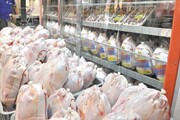 توزیع روزانه ۵ تا ۷ تن مرغ منجمد در سطح شهر بندرعباس