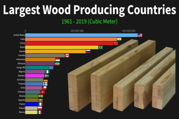 نیمی از تولید چوب جهان در دست ۵ کشور