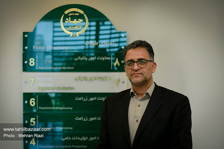 حسین زینلی/ مشاور معاون وزیر و مجری طرح گیاهان دارویی وزارت جهاد کشاورزی کشور