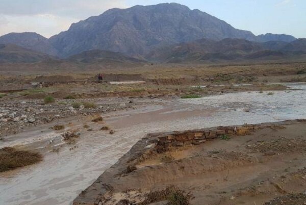 آخرین خسارت های سیلاب در استان ایلام اعلام شد