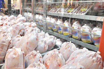 اخطار وزیر جهاد کشاورزی به مرغداران برای رعایت قیمت مصوب
