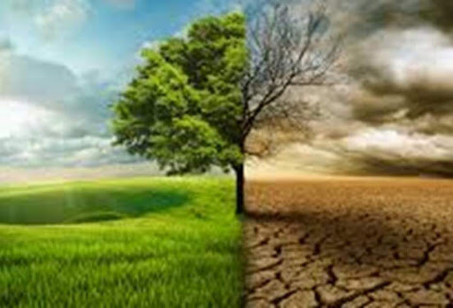کشت گیاهان پرآبخواه کاهش می‌یابد