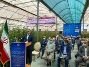 مجتمع کشت گلخانه‌ای بهشت روستای ارنان مهریز افتتاح شد