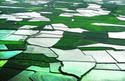 اختصاص اعتبار ۶۰۰ میلیاردی جهت تهیه نقشه و اسناد مالکیت حدنگاری اراضی کشاورزی