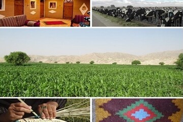 روستای بدون بیکار در استان قم!