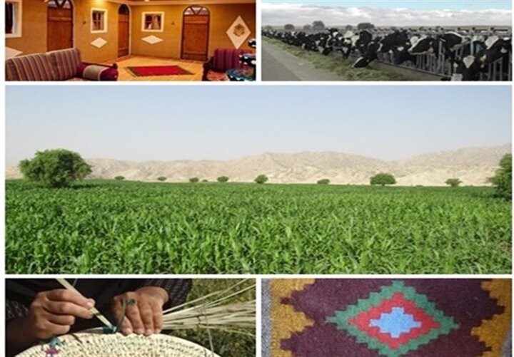 ۳۴۴۰ میلیارد ریال تسهیلات اشتغال روستایی در استان همدان توزیع شده است