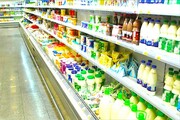 «شیرخشک» بازار صادرات لبنیات را از رونق انداخت