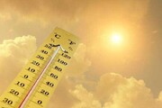 گرمای شدید در کمین باغ ها و مزارع| دمای ۵۰ درجه در کرمان ثبت شد