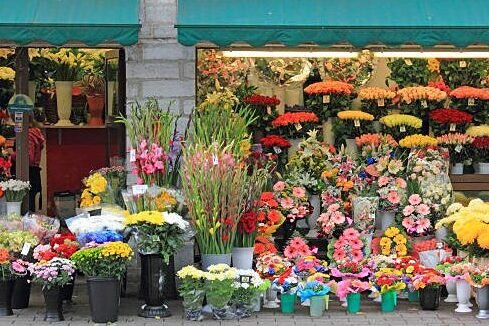 کسادی بازار گل فروشان در روز مادر| اتحادیه مستقل گل فروشی در اردبیل نداریم