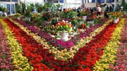 تولید ۱۲ میلیون عدد انواع گل و گیاه در گیلان