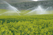 توسعه آبیاری مدرن در کشت و صنعت مغان تا ۵ هزار هکتار| سیلوی خندقی احداث می شود