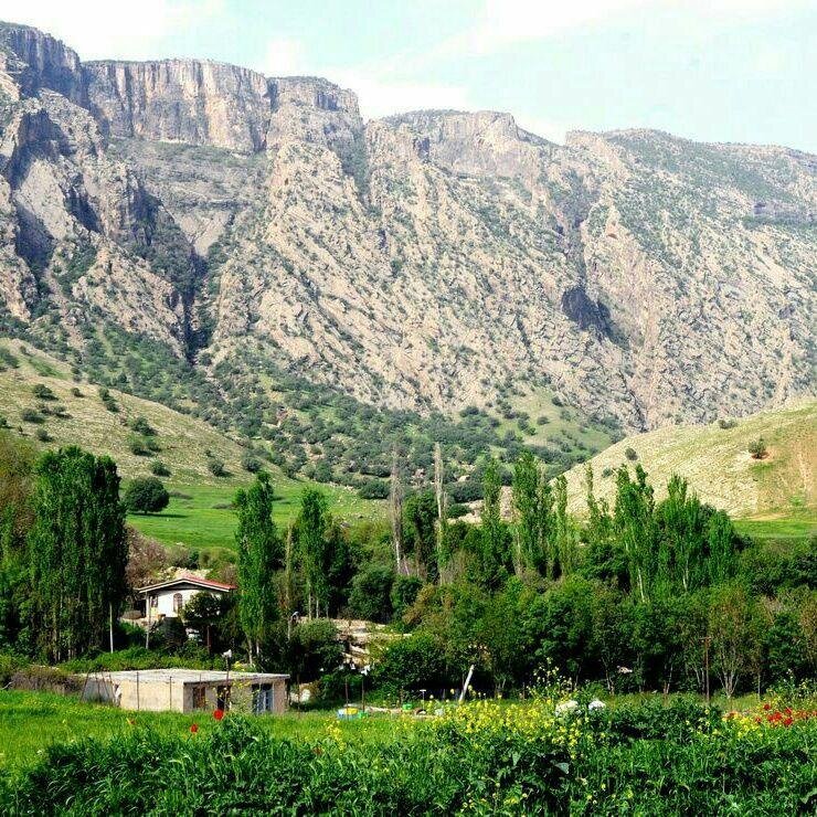 «میشخاص» قطب تولید محصولات باغی در ایلام